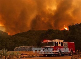 Mỹ: Nắng nóng kỷ lục, cháy rừng hoành hành bang California